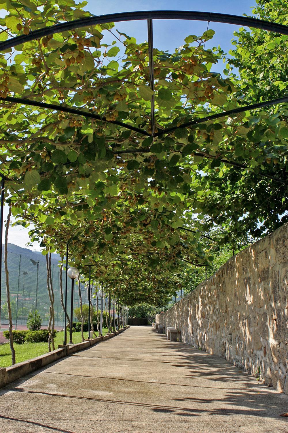 Hotel Boavista I Melgaço Εξωτερικό φωτογραφία